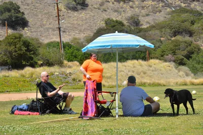 DSC_7465 (Large).JPG